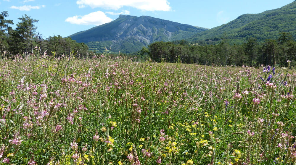 Une entreprise respectueuse de l’environnement